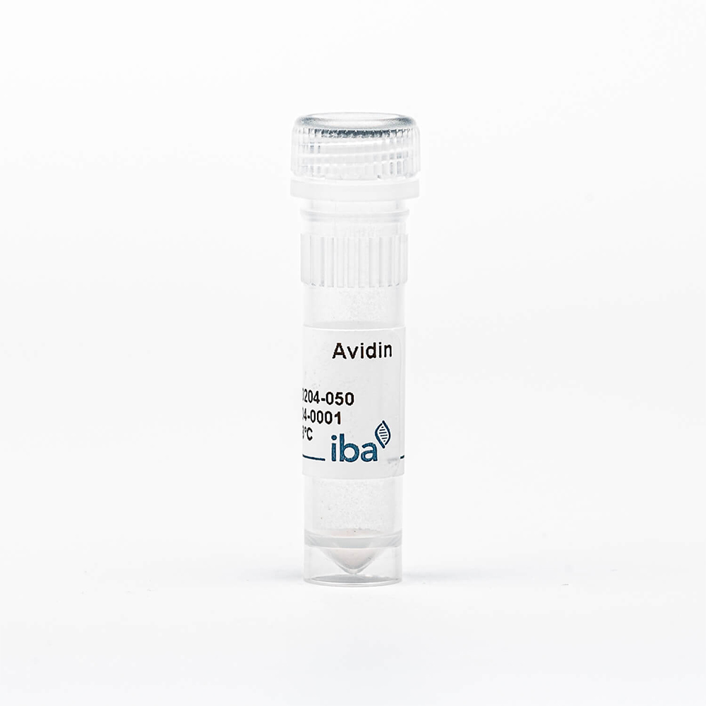 Picture of Avidin 50mg